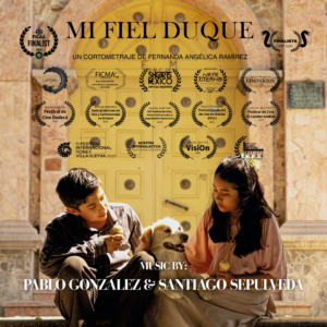 mfd musica grande v2